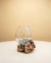 Glass Bowl on Wood | Hand-Blown Teak Root Bowl, 25cm
