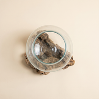 Glass Bowl on Wood | Hand-Blown Teak Root Bowl, 25cm