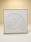 Shell Wall Art | Textured White Nautilus Canvas