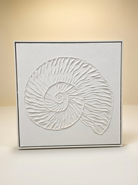 Tableau Coquillage | Toile Nautile Blanche en Relief
