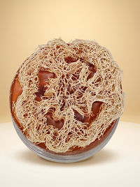 Luffa Soap Bar | Natural Exfoliating Soap with Loofah