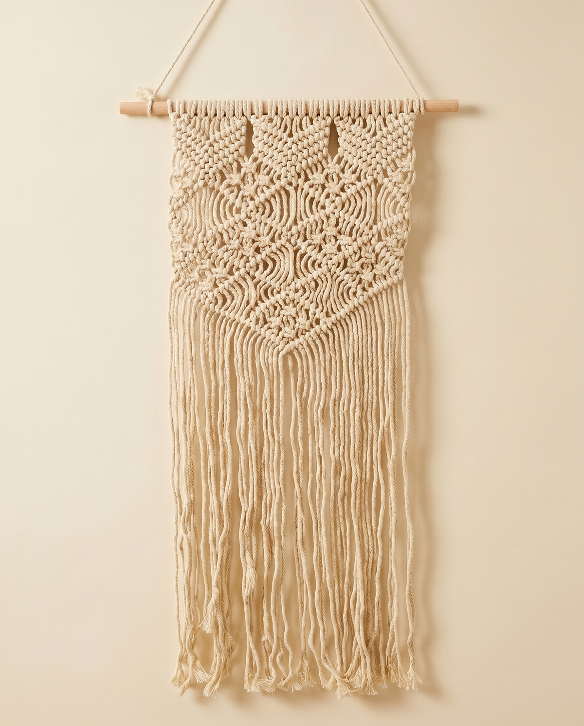 Macrame Wall Hanging | Boho Knotted Fringe Panel