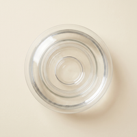 Propagation Vase | Clear Glass Rooting Vase, Single or Multi-Opening