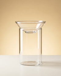 Propagation Vase | Clear Glass Rooting Vase, Single or Multi-Opening